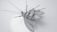3D Realistic Cockroach Rigged model