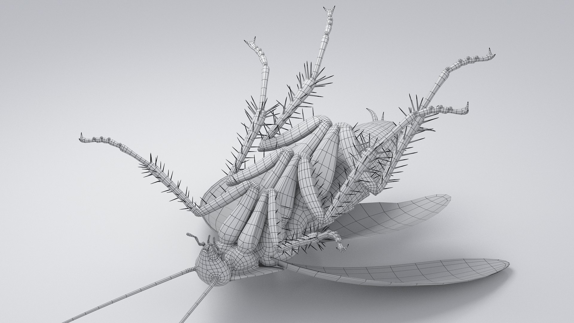 3D Realistic Cockroach Rigged model https://p.turbosquid.com/ts-thumb/pT/VDjMqg/yT/cockroach_rigged_32/jpg/1706357574/1920x1080/fit_q87/27c114fe565f4184c683896b06430a1be1ca76c3/cockroach_rigged_32.jpg