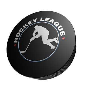 hockey puck