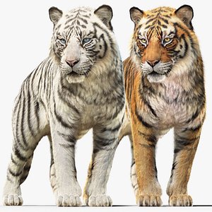 Tigers (static) xgen-core