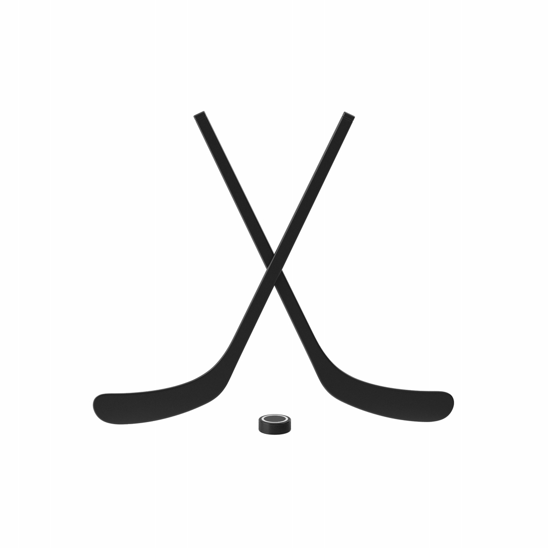 3D Hockey Stick And Puck Model TurboSquid 2001803