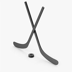 3D Hockey Stick And Puck model