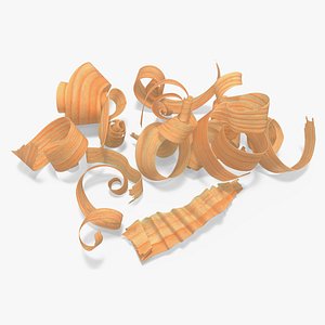 Pile of Wood Shavings 3D model