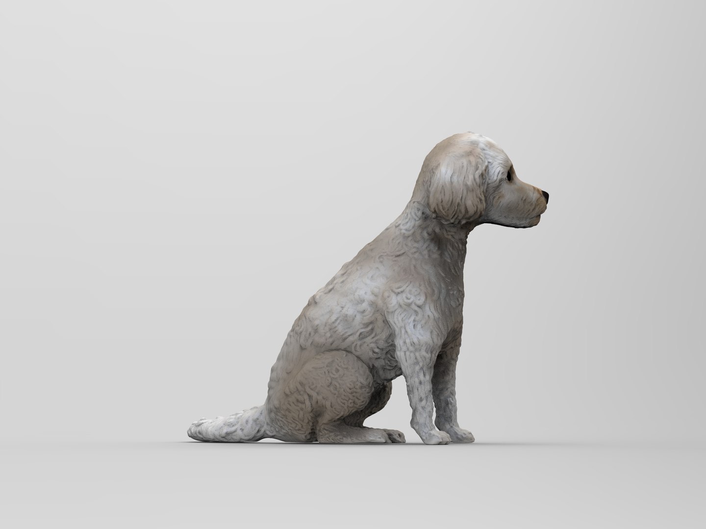 Poodle Dog 3D Model - TurboSquid 2216193