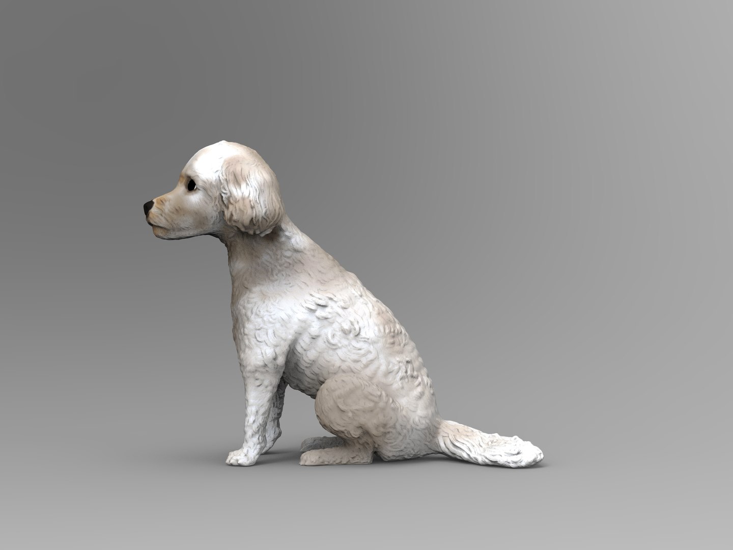 Poodle Dog 3D Model - TurboSquid 2216193