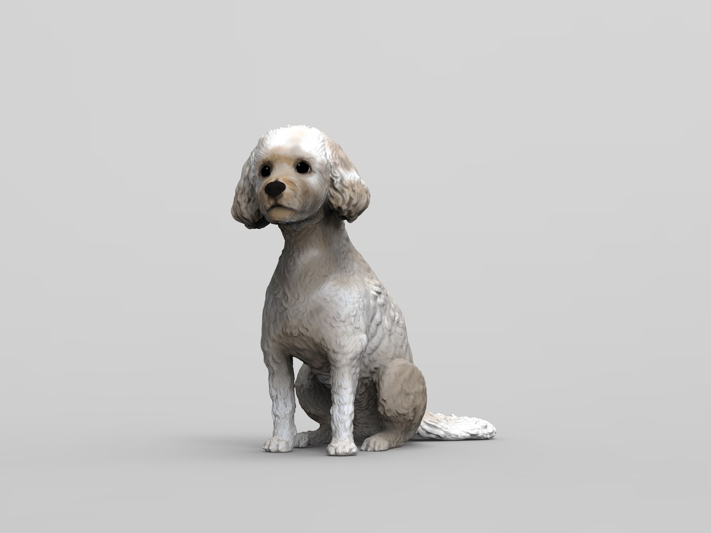 Poodle Dog 3D Model - TurboSquid 2216193
