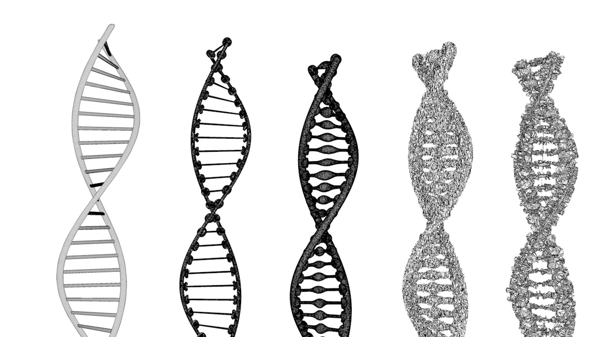 3D dna science helix - TurboSquid 1505223