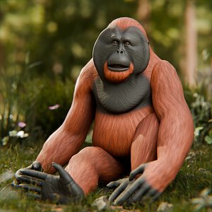 3D Orangutan Animal 3D Model