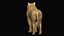 Low polygon lion and lioness collection