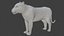 Low polygon lion and lioness collection