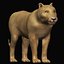 Low polygon lion and lioness collection