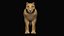 Low polygon lion and lioness collection