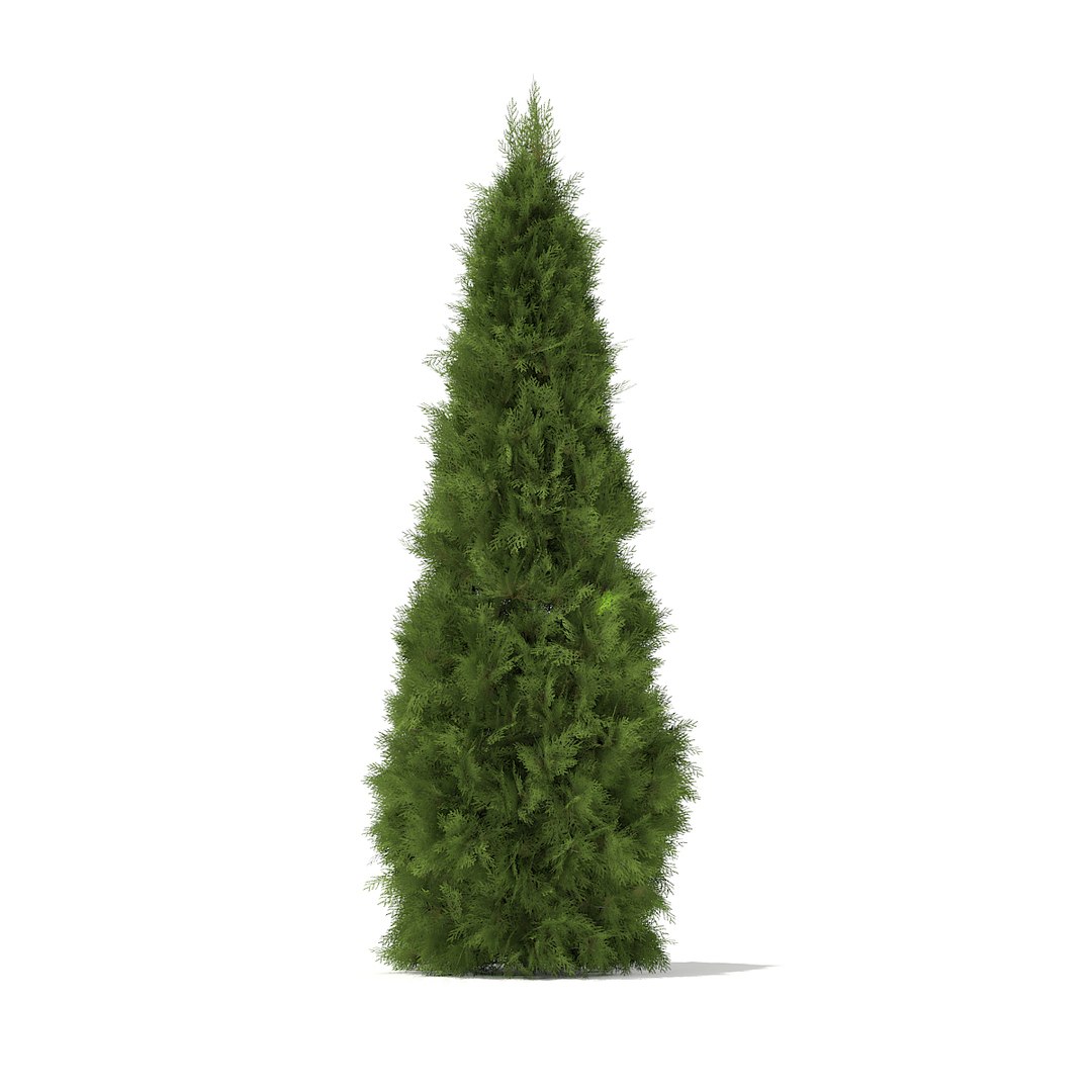 volume 69 trees viii 3d model https://p.turbosquid.com/ts-thumb/pU/FTUElL/BAFSKtbU/cgaxis_models_69_37/jpg/1475691317/1920x1080/fit_q87/7374ce9bcb32b1c0293f772e7652e0bb3e1d390e/cgaxis_models_69_37.jpg