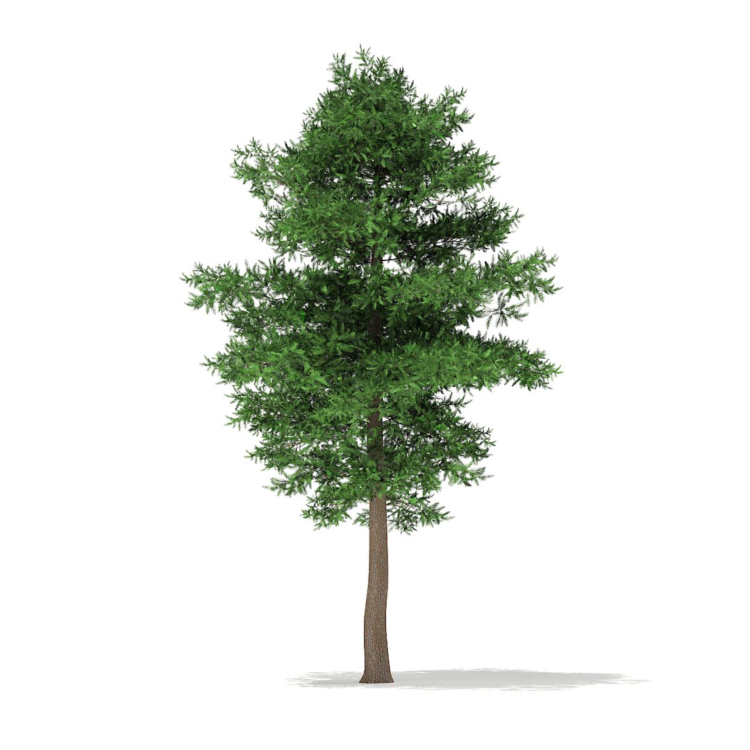volume 69 trees viii 3d model https://p.turbosquid.com/ts-thumb/pU/FTUElL/NlATcQDA/cgaxis_models_69_02/jpg/1475691316/1920x1080/fit_q87/8a9ec1bace2e0628fad8546ab4f697b7f4806356/cgaxis_models_69_02.jpg