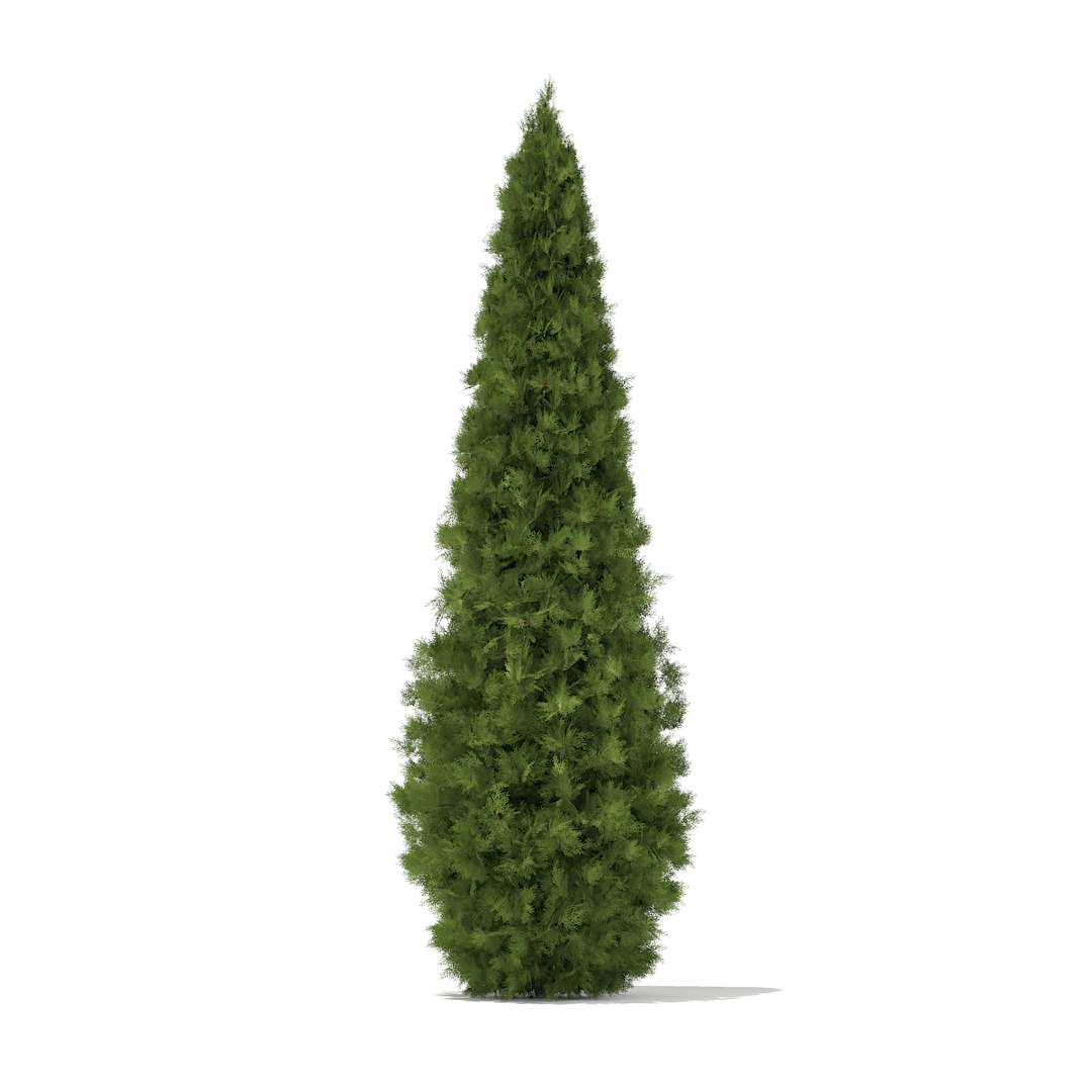 volume 69 trees viii 3d model https://p.turbosquid.com/ts-thumb/pU/FTUElL/b5rVZ5ML/cgaxis_models_69_39/jpg/1475691317/1920x1080/fit_q87/c65fa334107c3f57b409bde453eab4efc672073c/cgaxis_models_69_39.jpg