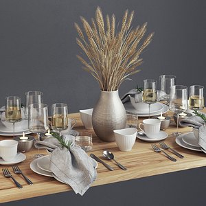 Spare Tableware