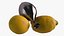 frullatore al limone