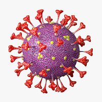 CoronaVirus