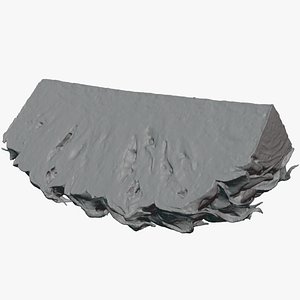 Pineapple Slice 01 - For 3D Print model