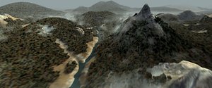 Landscape forest enviroment