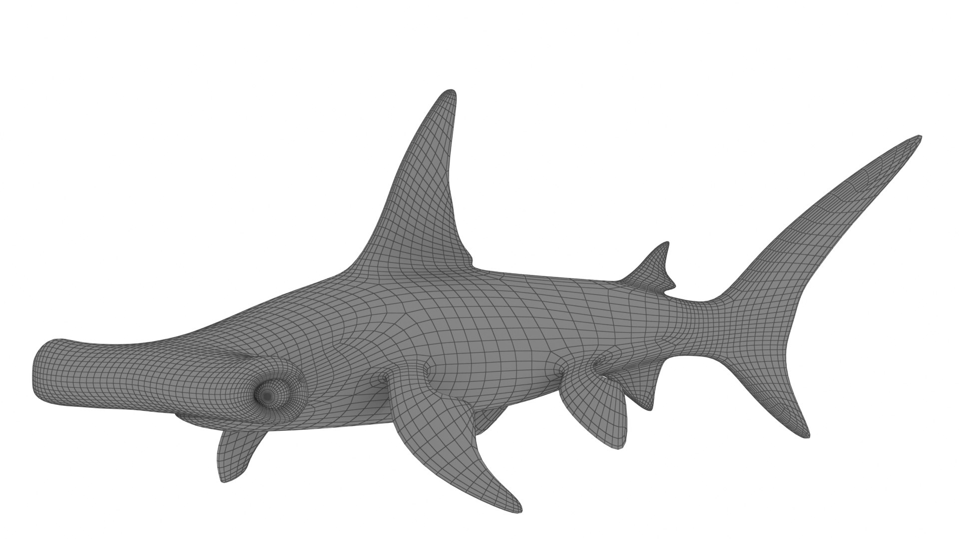 Cartoon Hammerhead Shark 3D model - TurboSquid 2094635