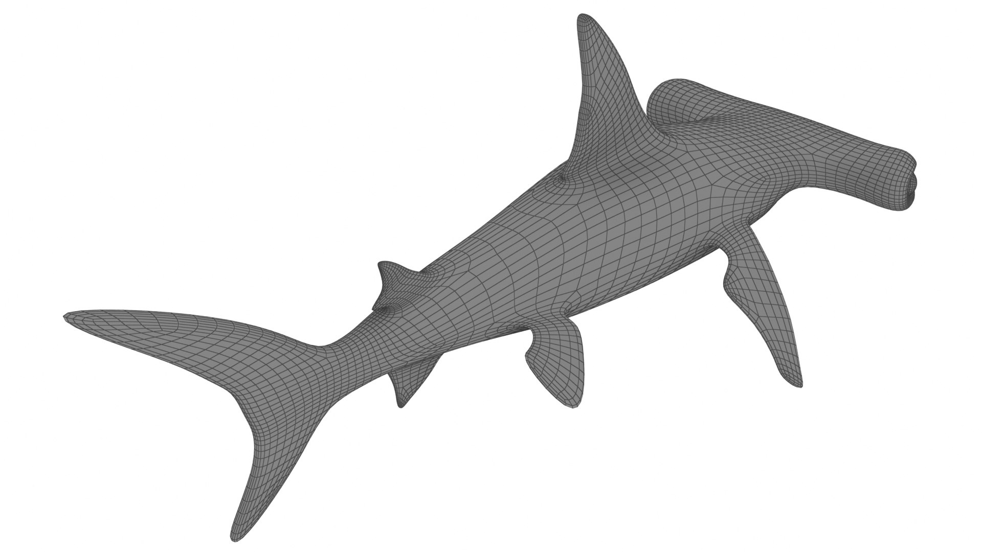 Cartoon Hammerhead Shark 3D model - TurboSquid 2094635