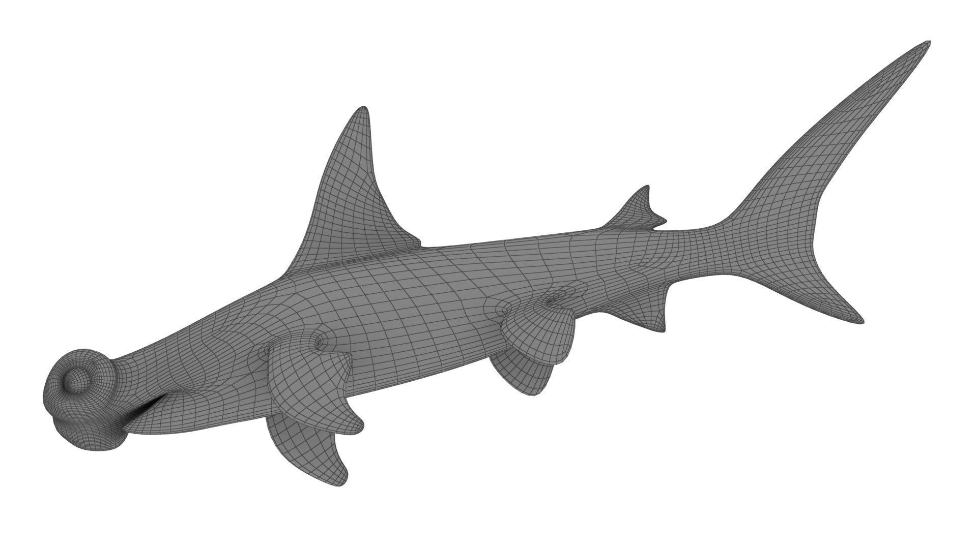 Cartoon Hammerhead Shark 3D model - TurboSquid 2094635