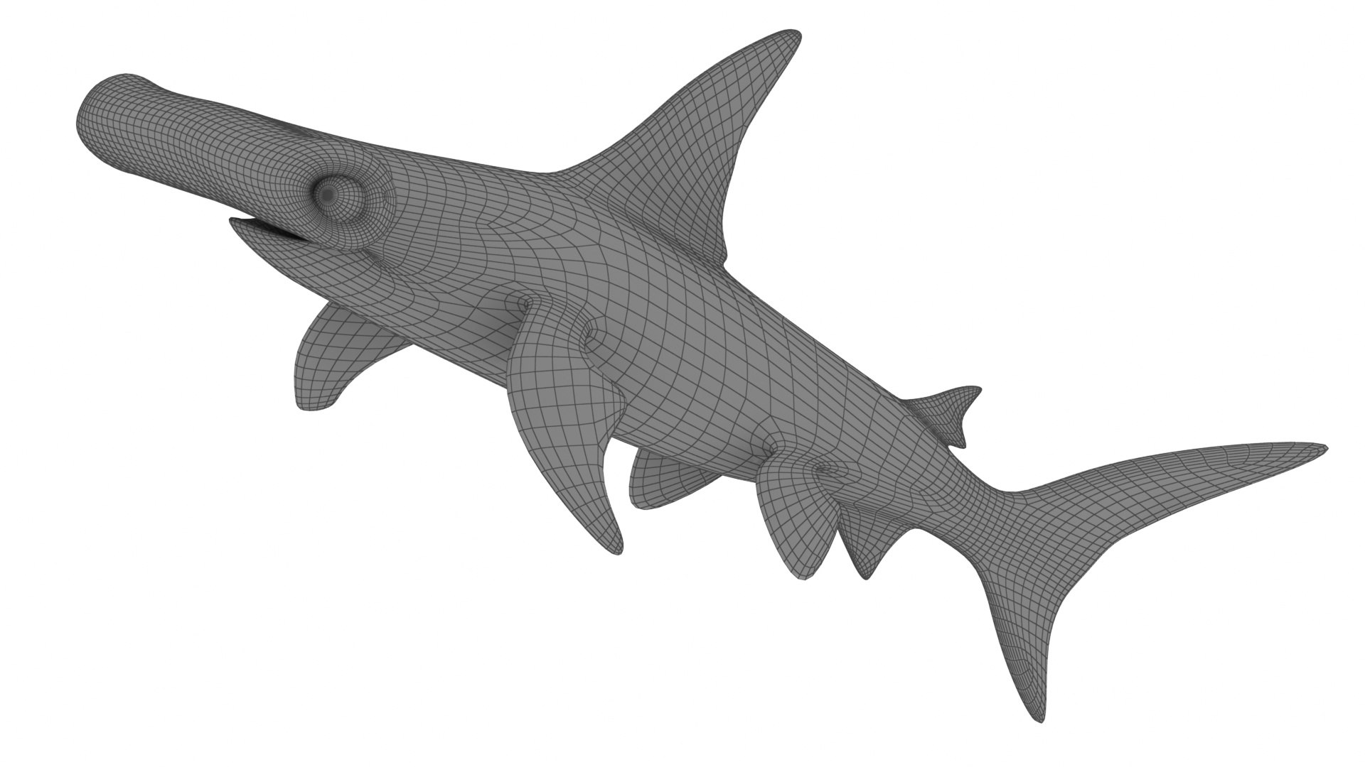 Cartoon Hammerhead Shark 3D model - TurboSquid 2094635