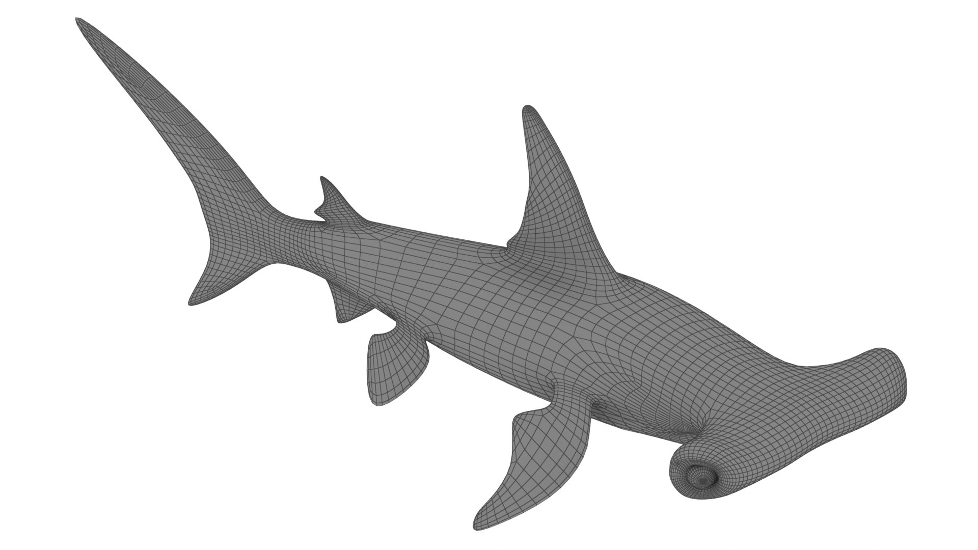 Cartoon Hammerhead Shark 3D model - TurboSquid 2094635