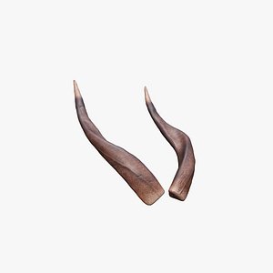 Horn V7