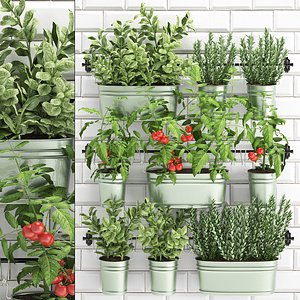 3D model garden decorative plants kitchen