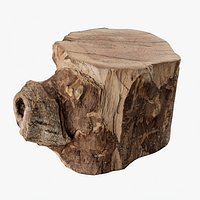 Scanned Trimmed Tree Wood 09