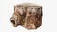 3D model Scanned Trimmed Tree Wood 09