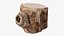 3D model Scanned Trimmed Tree Wood 09