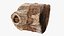3D model Scanned Trimmed Tree Wood 09