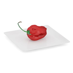 Habanero Chilli on White Plate