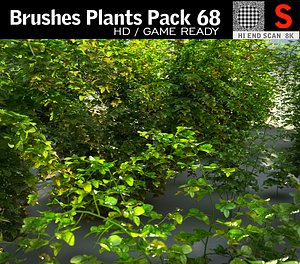 brushes plants pack 68 3D model