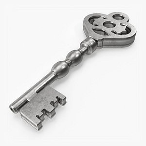 3D Key Silver 03