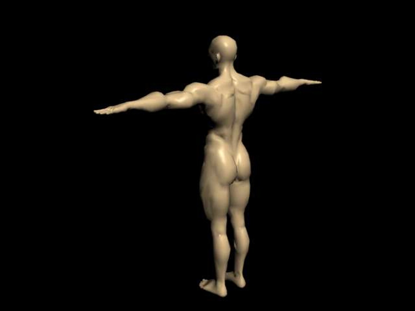 body builder 3d model https://p.turbosquid.com/ts-thumb/pV/1XVO53/L2XBJf50/back/jpg/1149085286/1920x1080/fit_q87/b78c905112ebf71b1fa1950548b956257d73a431/back.jpg