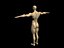 body builder 3d model