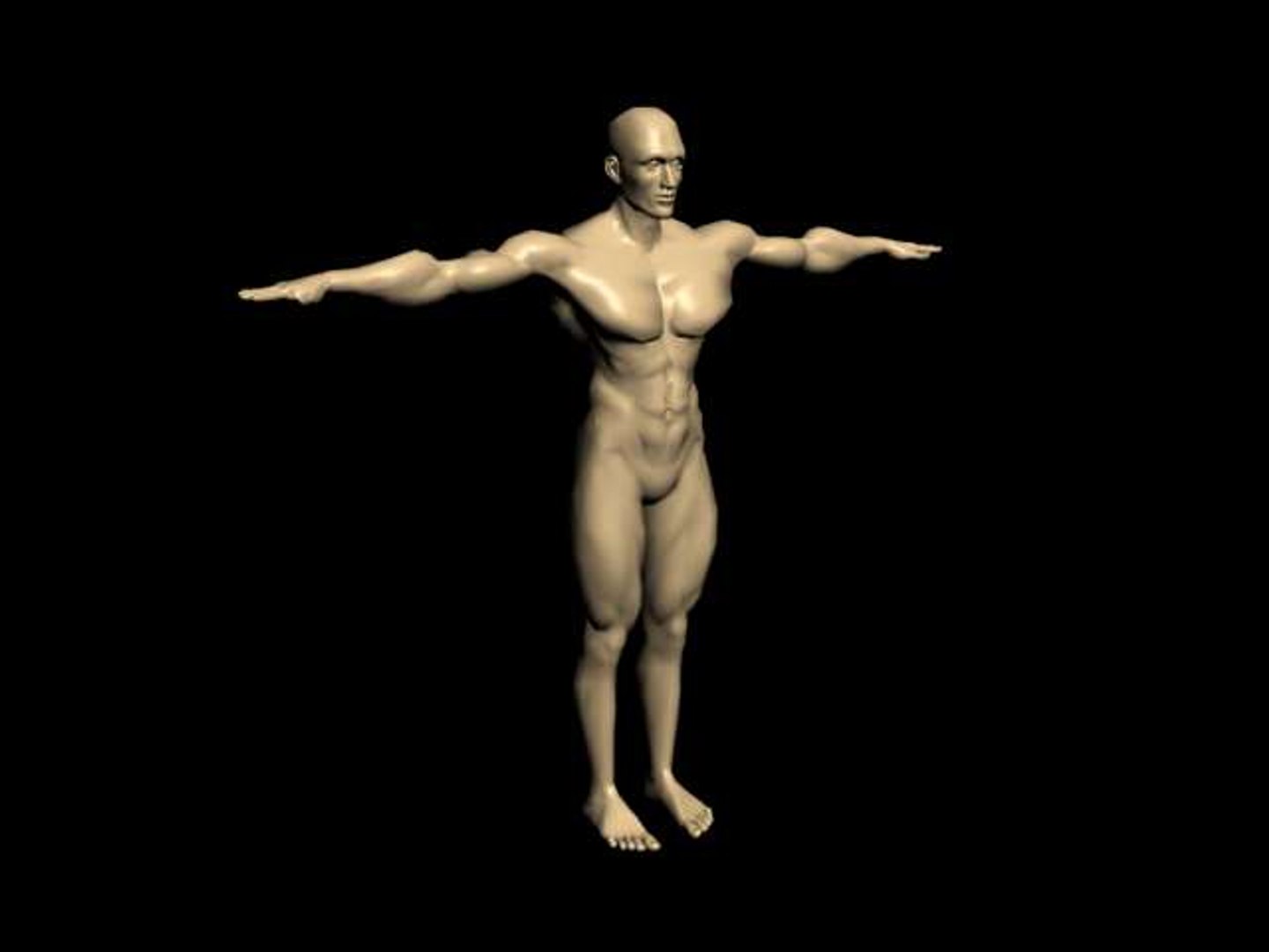 body builder 3d model https://p.turbosquid.com/ts-thumb/pV/1XVO53/ZVMI5pTC/front/jpg/1149085309/1920x1080/fit_q87/996d3feaf8fac5070d3cfb5051f8da46c75cf2de/front.jpg