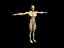 body builder 3d model