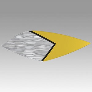 3D star voyager relativity