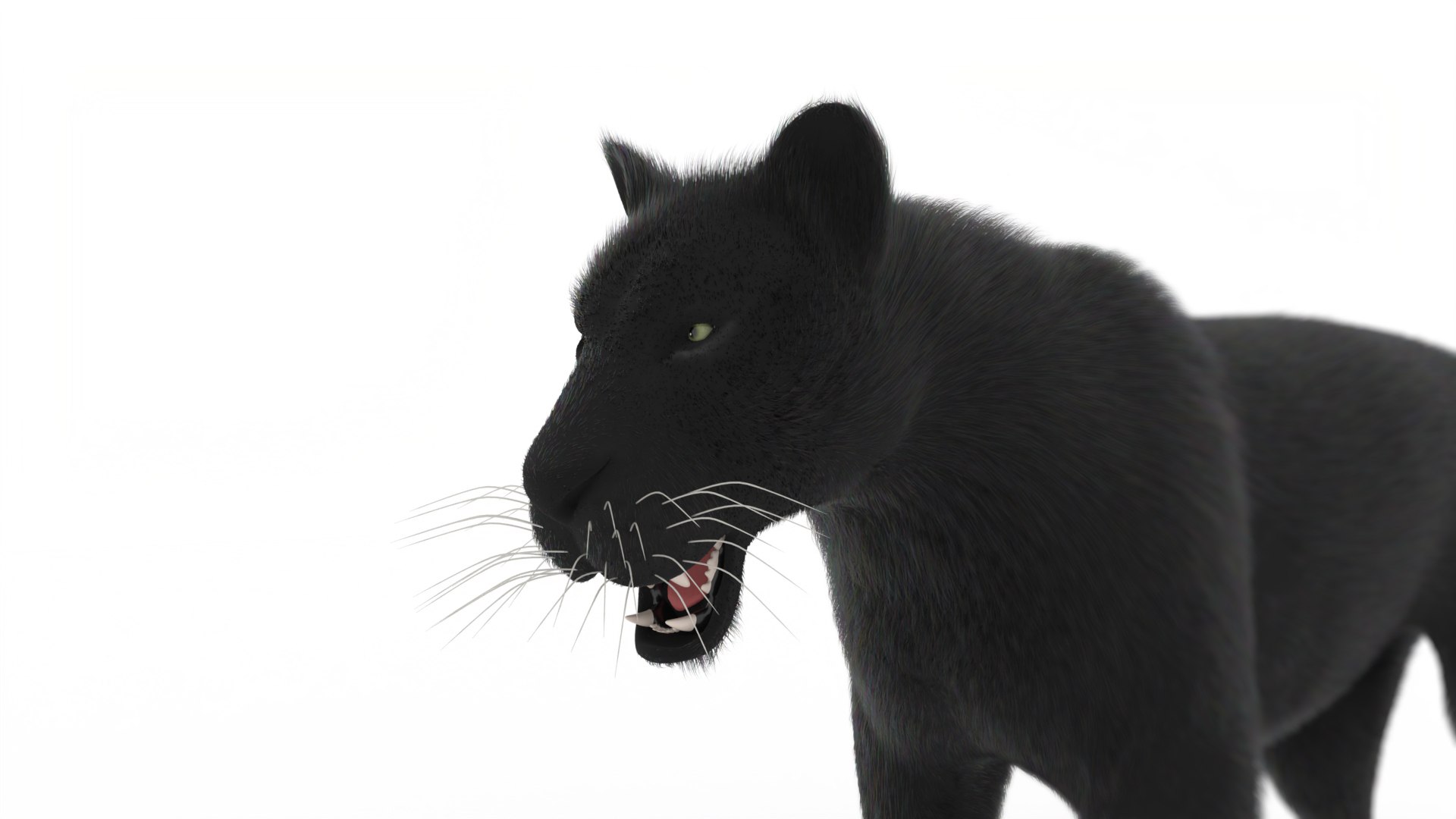 Panther Realistic 3D Model Rigged and Animated 3D https://p.turbosquid.com/ts-thumb/pV/A5NYJB/LC/panther_persp_closeup_001/jpg/1755173469/1920x1080/fit_q87/63feb0a3218008b1193f59686a1dc9bc7da5a5f9/panther_persp_closeup_001.jpg