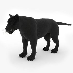 Panther Realistic 3D Model Rigged and Animated 3D