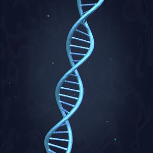 DNA Strand  -- Molecule -- Helix -- Sequencing  RNA Genetics