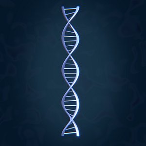DNA Strand 3D