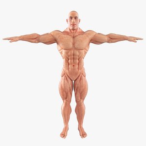 super hero body muscles max