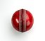 3D model Cricket Ball Red