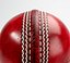 3D model Cricket Ball Red